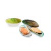 Frozen NZ.Half Green Shell Mussel (หอยแมลงภู่ครึ่งฝา จากประเทศนิวซีแลนด์)