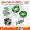 ยอย FALK WRAPFLEX Elastomeric Coupling ยางยอยสีเขียว R