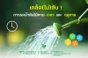 เคล็ดลับ การรดน้ำต้นไม้ ตามเวลาและฤดูกาล เคล็ดลับ การรดน้ำต้นไม้ ตามเวลาและฤดูกาล
