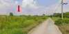 ขายที่ดิน 1 ไร่ เคหะการเกษตร ซอย ส.ส.สำเร็จ18 ต.บ้านใหม่ อ.บางใหญ่ จ.นนทบุรี