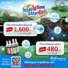 โปรสุดใช่ ไปได้สุดคุ้ม - บริการล้างแอร์ฯ, น้ำยาขจัดคราบเขม่า โปรสุดใช่ ไปได้สุดคุ้ม - บริการล้างแอร์ฯ, น้ำยาขจัดคราบเขม่า