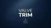 VALVE TRIM VALVE TRIM