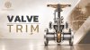 VALVE TRIM VALVE TRIM