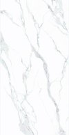 MS-TILE-JN24G012P2-1