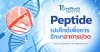 เปปไทด์ Peptide 