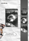 เพ้อฝันนิรันดร์กัป