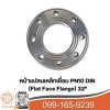 ร้านขายหน้าแปลน pn10 หน้าแปลนเหล็กเชื่อม PN10 DIN (Flat Face Flange)