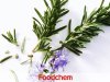 Rosemary Extract (สารสกัดจากโรสแมรี่)