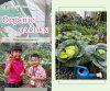 โครงการเกษตรอินทรีย์ โครงการเกษตรอินทรีย์
