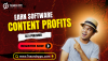 Top Ways to Earn Software Content Profits as a Publisher