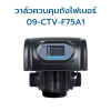 RUNXIN หัววาล์วคาร์บอน แบบอัตโนมัติ (4")
