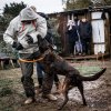 Protection Dog Course