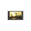 CyberView RP-HF617