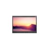 CyberView RP-HF821