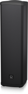 Turbosound iP300 