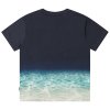 Faded Shark
