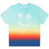 Palm Smile