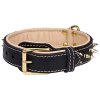 ( 18 inch ) Gorgeous Leather Collar with Two Rows of Awesome Brass Spike C447##003