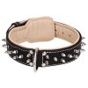 ( 20 inch ) Creative Design Leather Dog Collar with 2 Rows of Nickel-plated Spikes C444##005