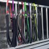 Slip Lead for Dog Training (43inch)