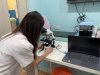 BlueScope Microscope by Euromex