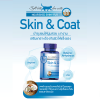 Skin & Coat For Cat