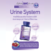 Urine System For Cat