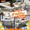 1 DAY -  Party Time สายไหนก็พร้อมตี้ 1 DAY -  Party Time สายไหนก็พร้อมตี้