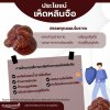 เห็ดหลินจือแคปซูล ตราภูรีเฮิร์บ - บำรุงร่างกาย