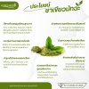 มัทฉะชาเขียว Matcha ฟรีแก้วเชค เกรดพรีเมี่ยม ตราภูรีเฮิร์บ  (ร้านเจ้าของแบรนด์)