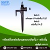 ขาปักสปริงเกอร์ ขนาด A เกลียวนอก3/4"และเกลียวใน 1/2" x B เกลียวใน 3/4" สุง 21 ซม. รหัสสินค้า 344-04 บรรจุ 1 ตัว App