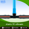 สามทาง PE เกลียวนอก  ขนาด 32 x 1" x 32 มม. รหัสสินค้า 350-66 แพ็ค 10 ตัว