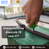 ด้ามเจาะท่อ PE ไชโยสปริงเกลอร์ ขนาด 5/7 มม. แพ็ค 1 ตัว