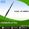 ขาปักมินิสปริงเกอร์ ใหญ่ ขนาด 60 ซม. สีดำ แพ็ค 10 ตัว