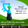 สปริงเกอร์ใบบิ๊กซี (น้ำละเอียด) ก้านสั้น เกลียวใน 3/4" x 1/2" รหัสสินค้า 305 บรรจุ 10 ตัว