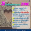 5 ประโยชน์ของ ZINC