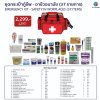 EMERGENCY KIT - SAFETY IN WORKPLACES ( 37 ITEMS ) ( RED )