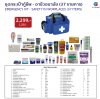 EMERGENCY KIT - SAFETY IN WORKPLACES ( 37 ITEMS ) (ฺ BLUE )