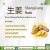 Sheng Jiang (生姜)