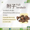 โหราเดือยไก่ (Fu Zi)