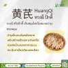 ปักคี้ (Huang Qi) ปักคี้ (Huang Qi)