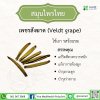 เพชรสังฆาต (Veldt grape)