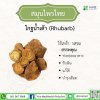 โกฐน้ำเต้า (Rhubarb)
