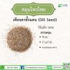เทียนตาตั๊กแตน (Dill Seed)