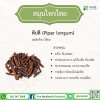 ดีปลี (Piper longum) ดีปลี (Piper longum)