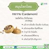 Cardamom