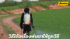 วิธีใช้เครื่องพ่นยาให้ถูกวิธี วิธีใช้เครื่องพ่นยาให้ถูกวิธี