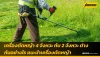 เครื่องตัดหญ้า 4 จังหวะ กับ 2 จังหวะ ต่างกันอย่างไร เครื่องตัดหญ้า 4 จังหวะ กับ 2 จังหวะ ต่างกันอย่างไร