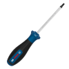 BOSCH PRO Screwdriver TX25 x 100 mm 1600A039SC