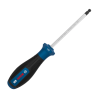 BOSCH PRO Screwdriver Hexagon H5 x 100 mm 1600A039SW
